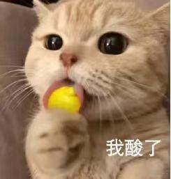 正式被确诊为办公室佛得角各类临时工作疯狂朝我涌来，我化身职场门将挨个阻拦，奈何工