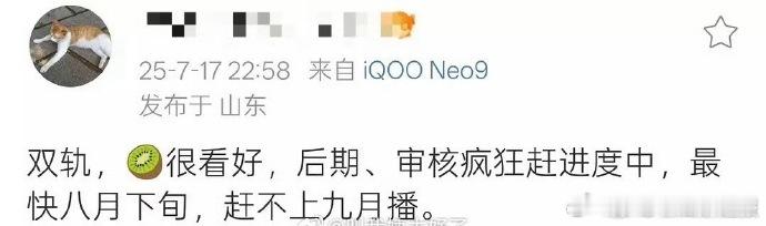 听说《双轨》业内看片口碑不错，故事新颖有张力。最快八月下旬播出，终于等到，搬好小
