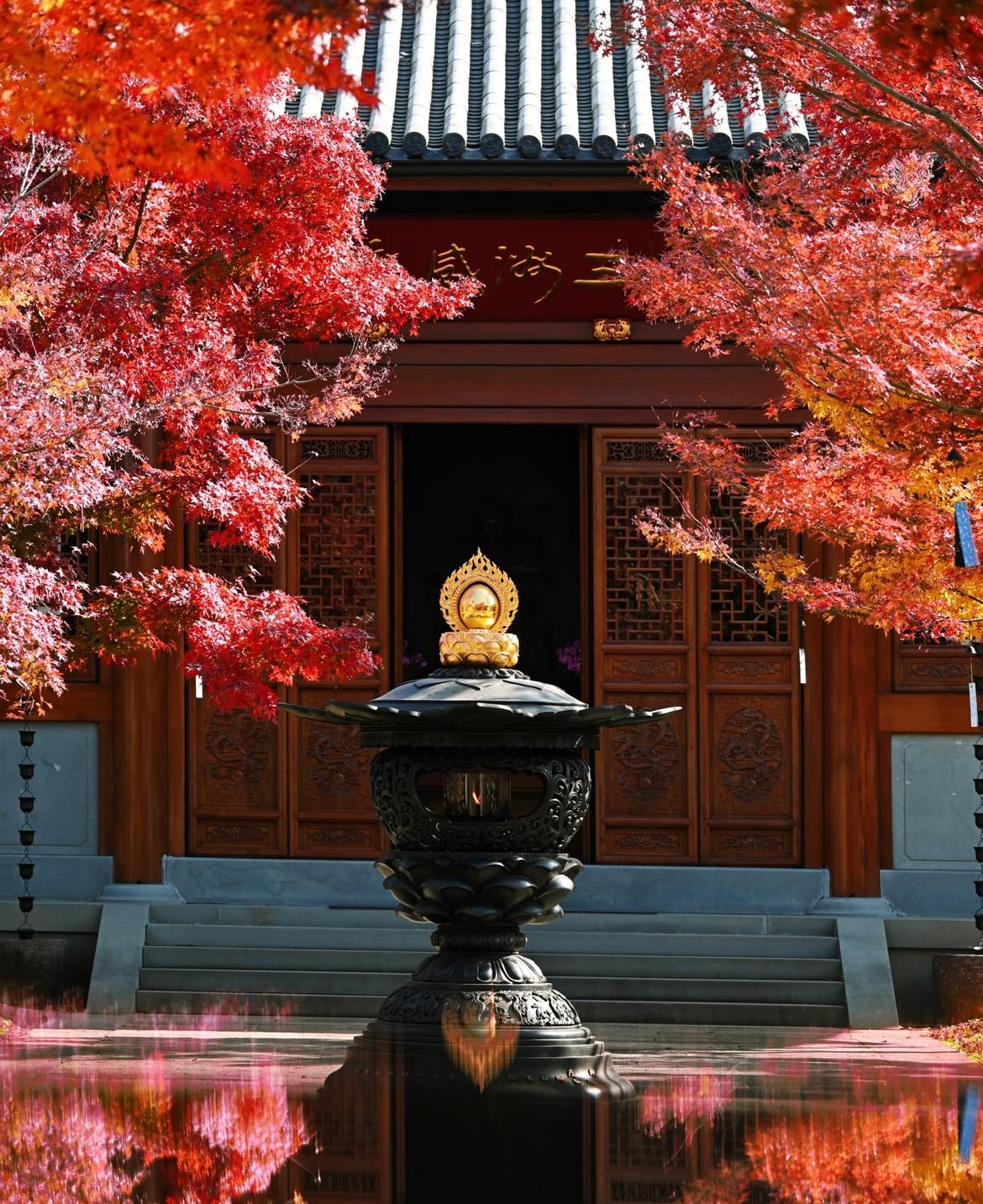 经验总结出来了：吃药后的恶心呕吐，可能不是药的锅，而是一堆药饭后一起吃的错。
