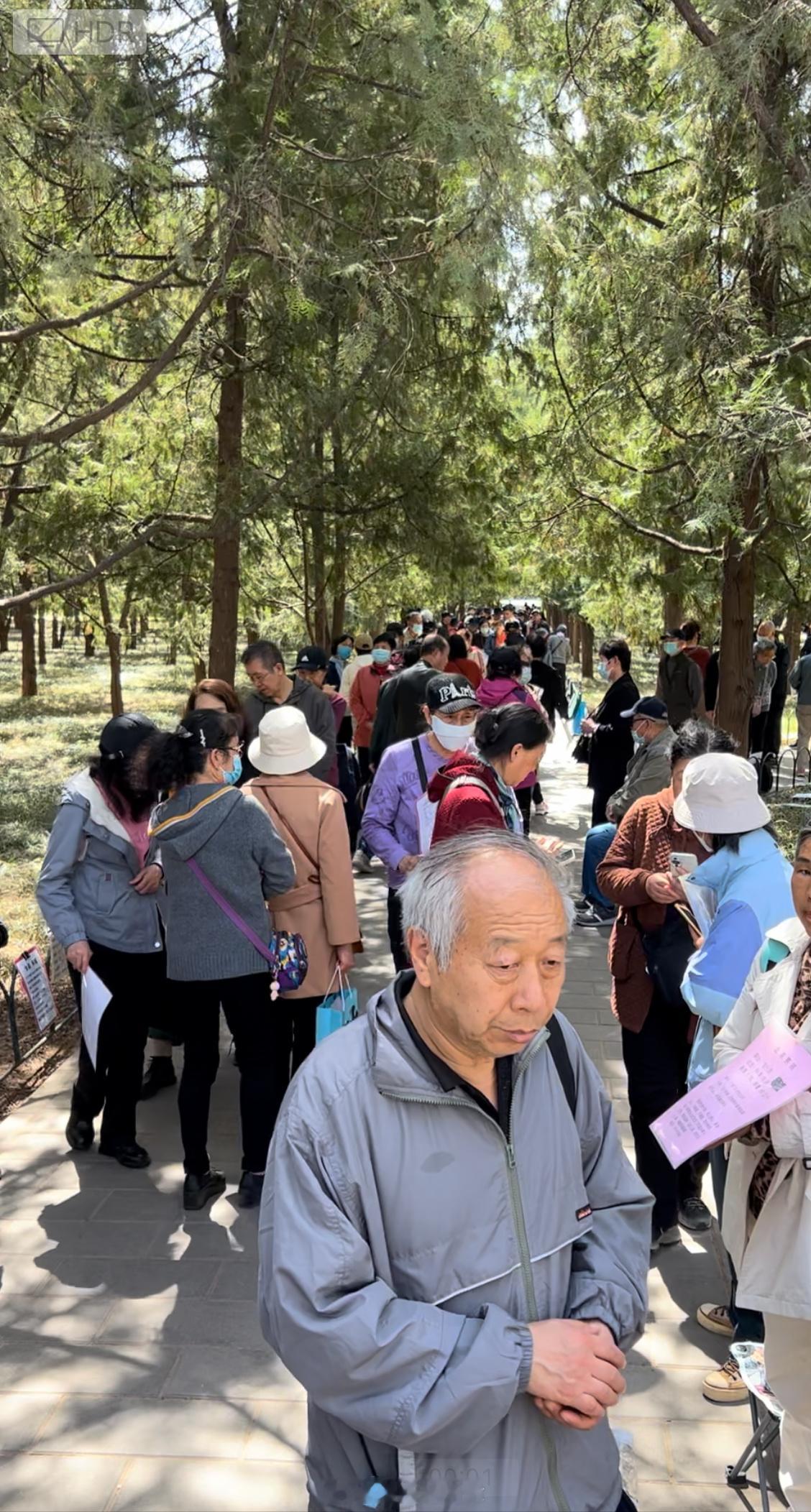 天坛公园里大爷大妈们的相亲会[doge]  ​​​