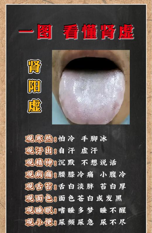 一图看懂肾气不足的常见表现