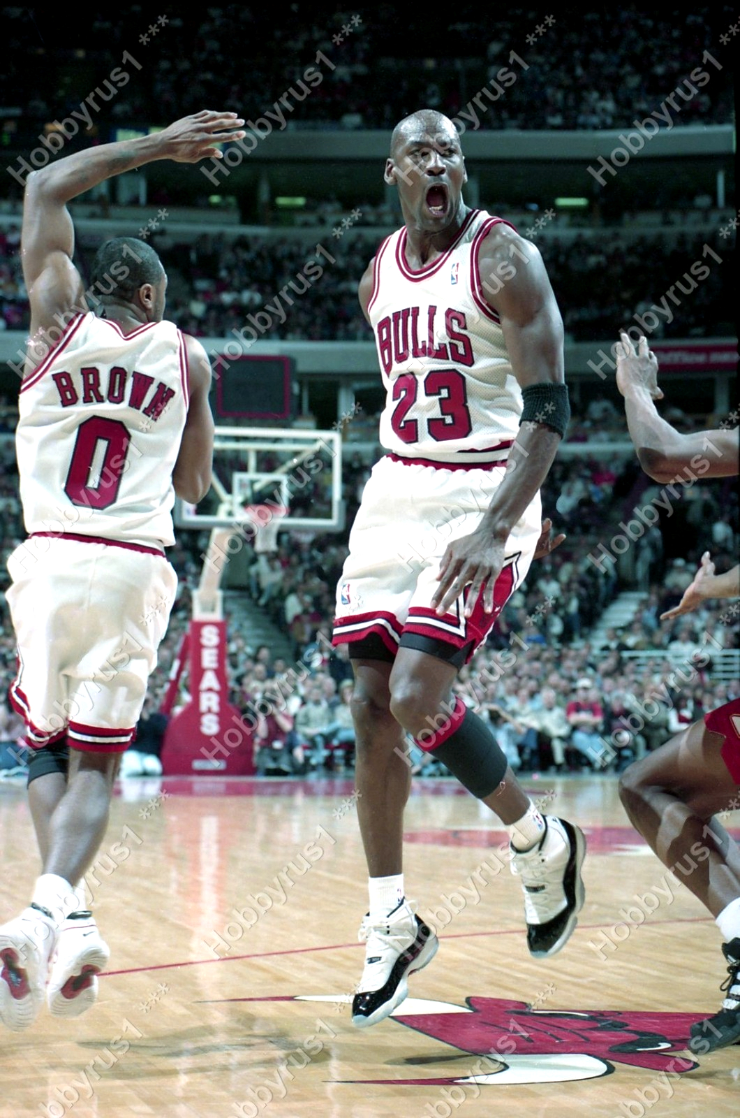 Michael Jordan concord ​​​