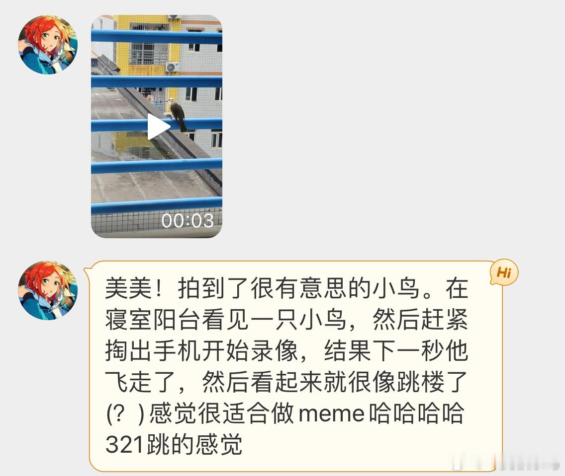#鸟粉投稿# 白头鹎：这个世界再见了！ ​​​