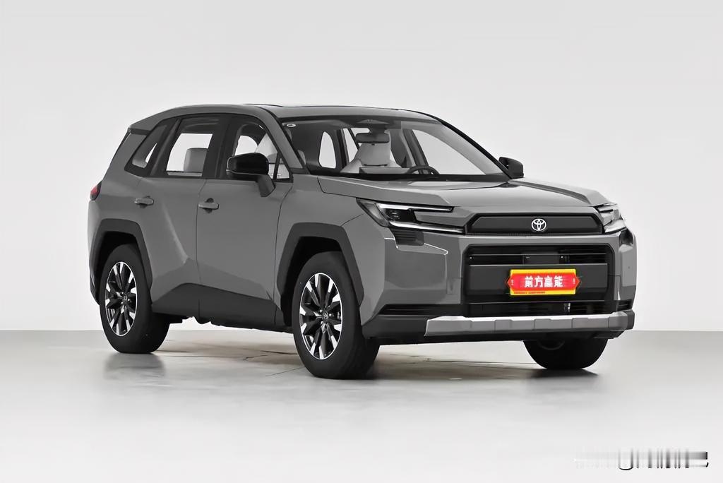 说句实在话，选家用MPV，真别光看牌子和配置，舒服实用才是最要紧的。
 
家里有