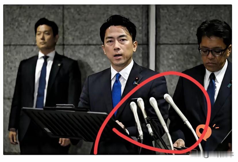 小泉进次郎这回
真是自作孽不可活！

 居然想要捞极右选票，为未来竞选铺路，却操