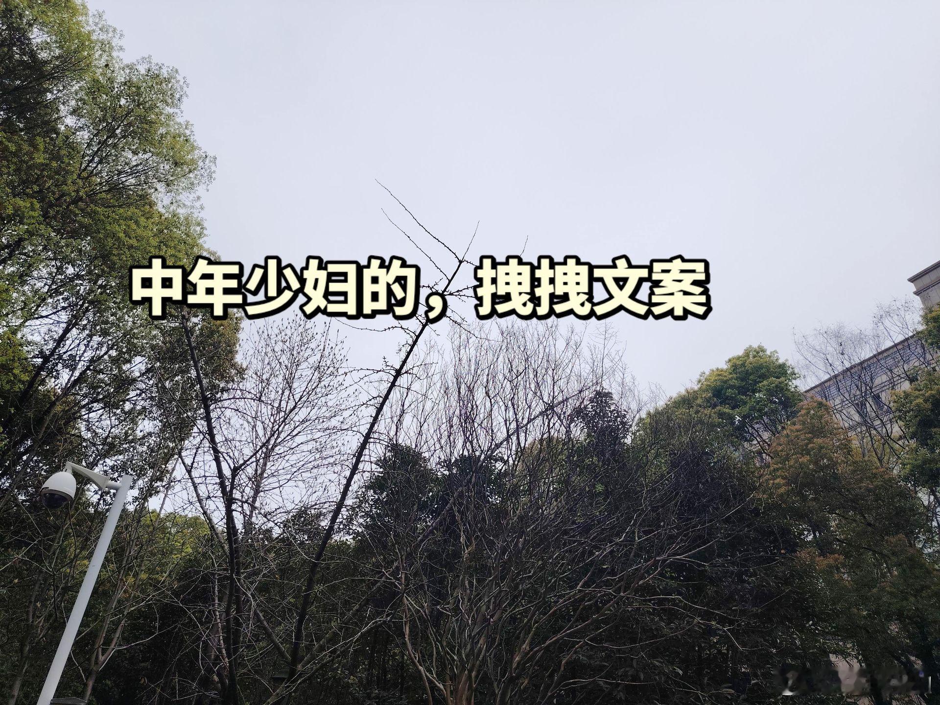 “中年少妇的，拽拽文案”1、☀️²⁰²⁶🌿⋆͛🌸⋆͛ᰔᩚ 来吧，做个潇洒的娘