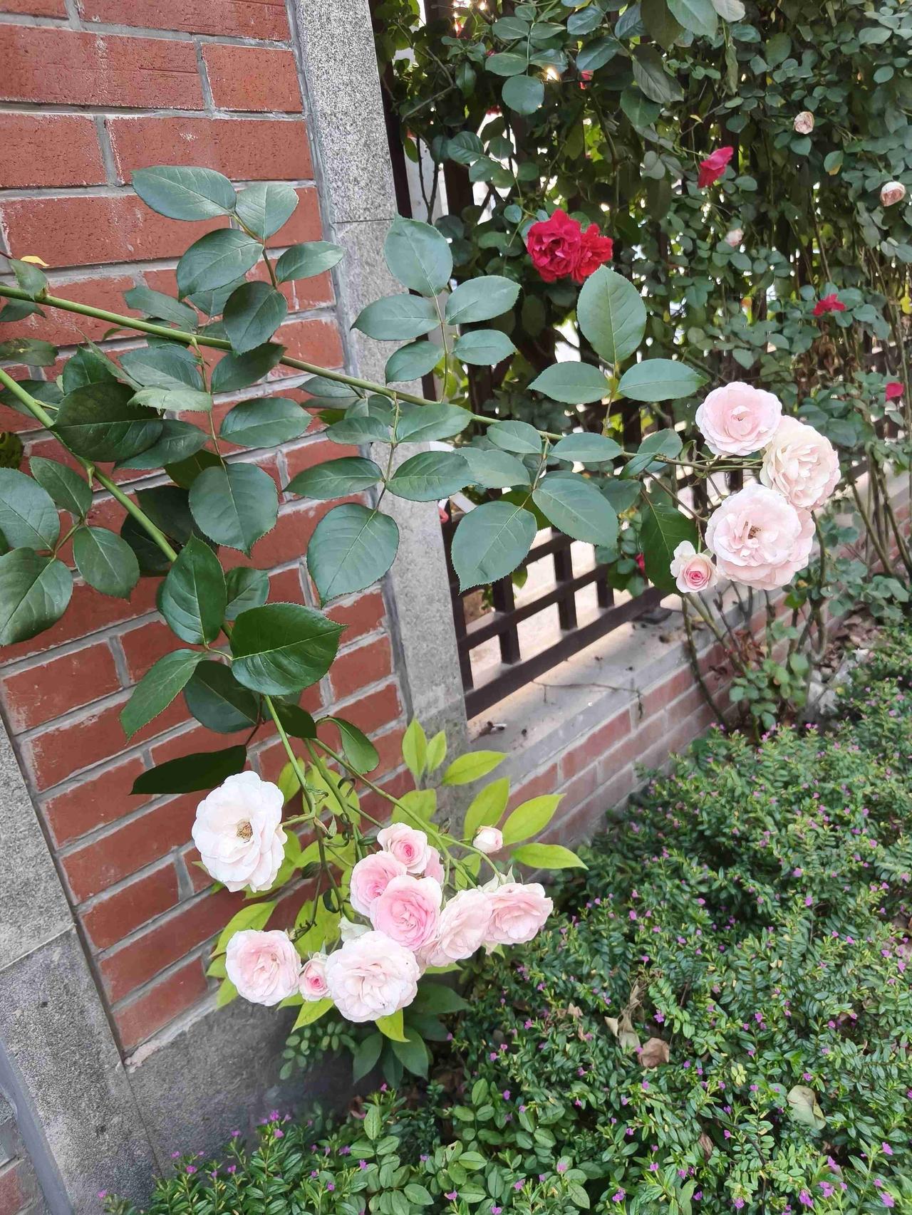 我的今日状态：😁轻松愉快
我这里的天气：☀️晴天
