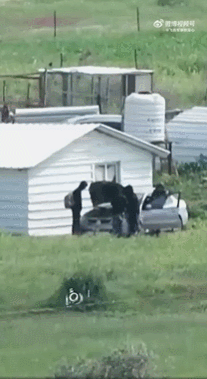 据媒体报道，以色列定居者在夜间再次袭击了图尔穆斯艾亚（Turmus Ayya），