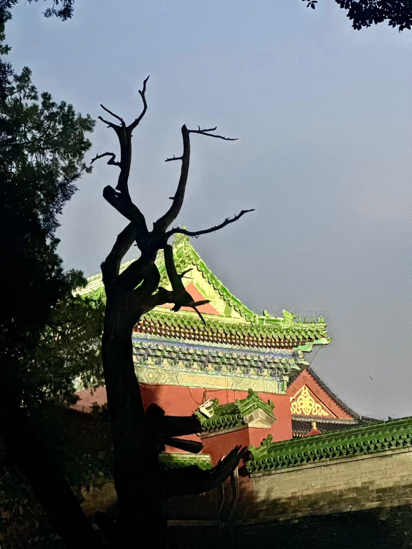 旅游和爷爷奶奶的北京之旅倩的旅游小记北京 二进天坛 美！ 北京·天坛公园-祈年殿