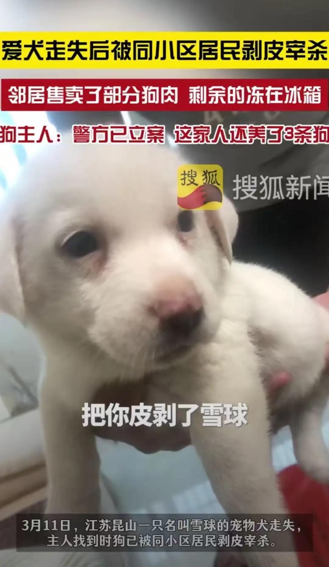 江苏昆山，女子没关好门，家里的狗跑了出去，结果被邻居老人剥了皮把肉卖了。女子和丈