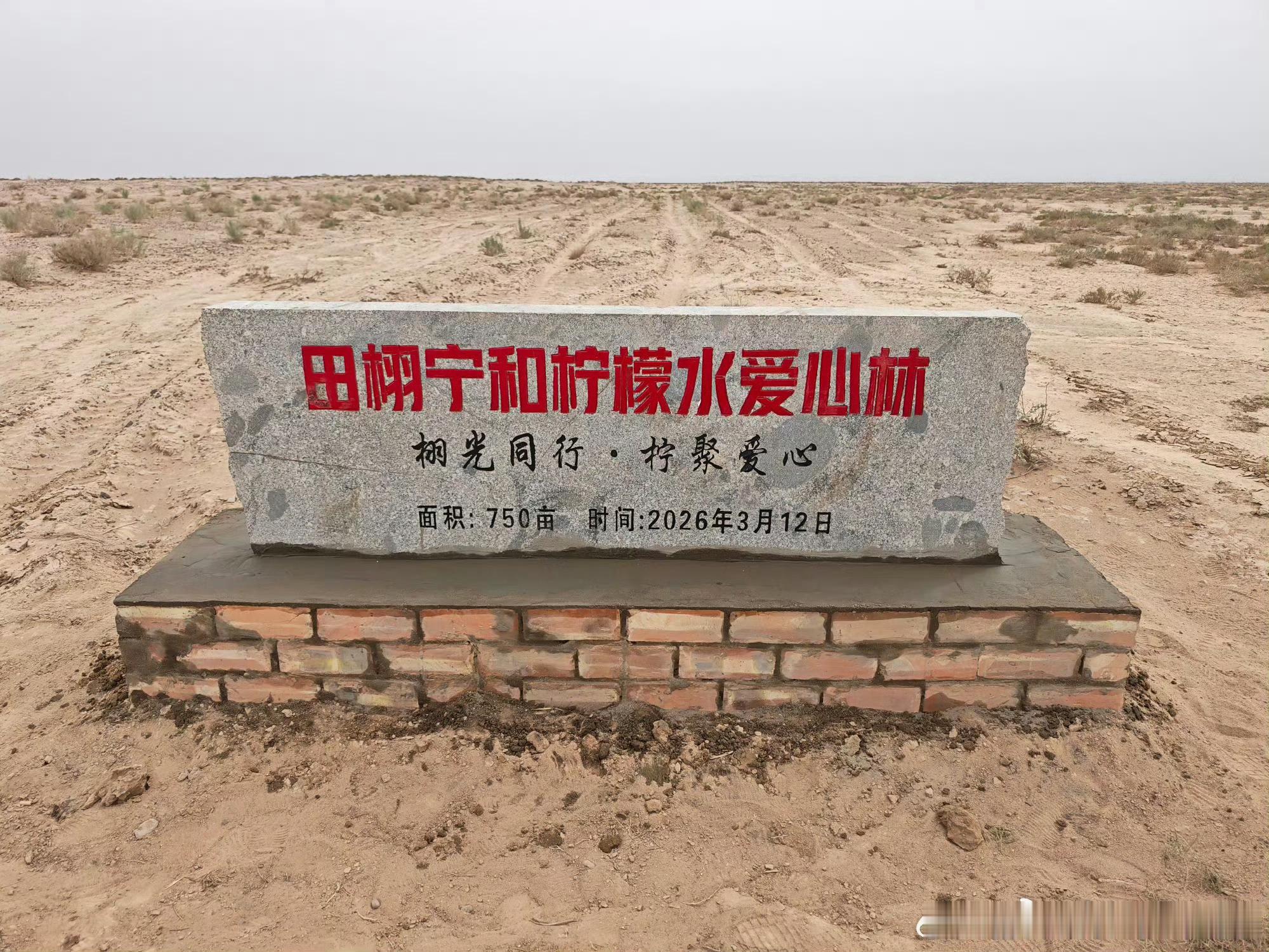 田栩宁粉丝捐赠750亩爱心林田栩宁粉丝在甘肃落地750亩爱心林，栽种52500棵