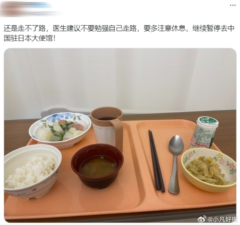 一只在日职业母贼：继续暂停去中国驻日本大使馆！#黄媒不会说的真相# ​​​