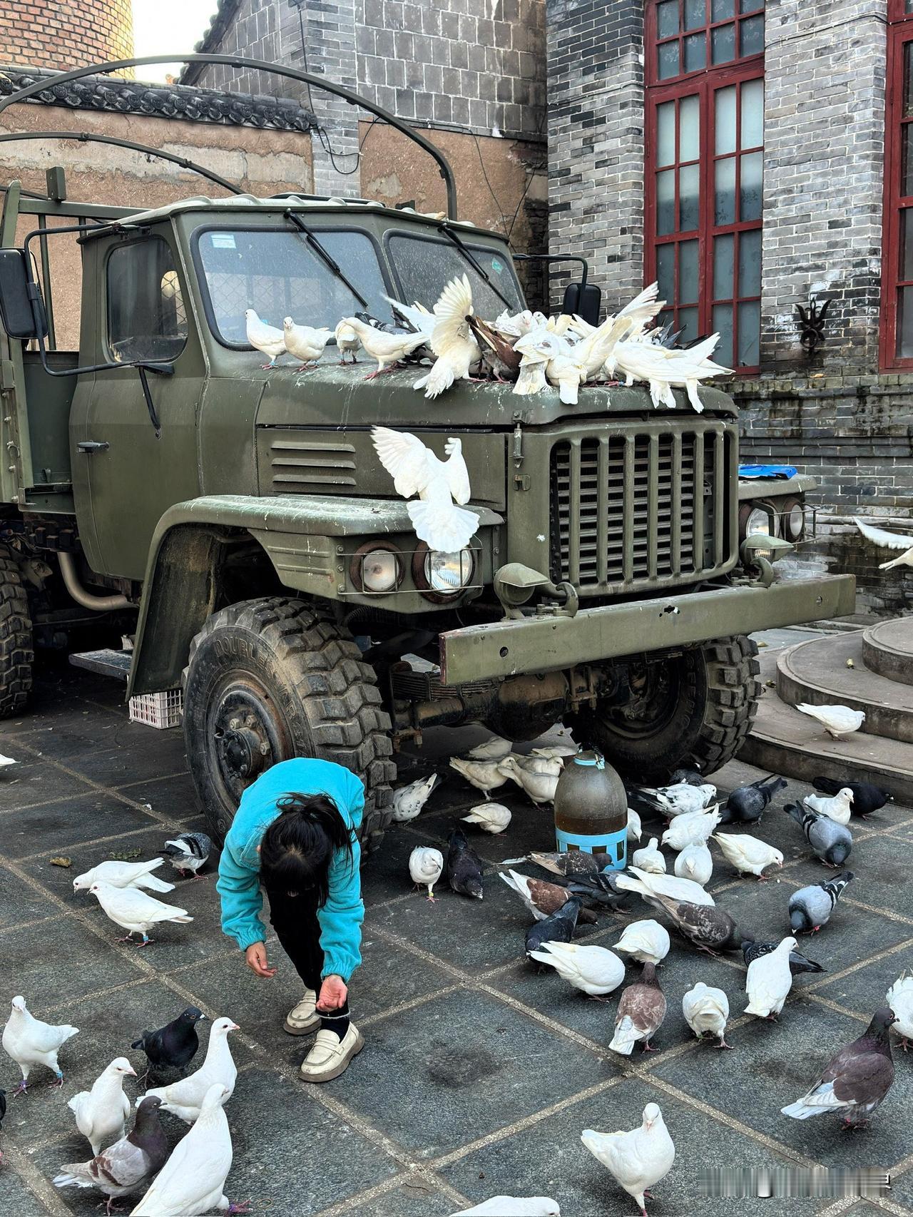 冬日的周末，阳光和煦，出外游玩，同时满足两代人的喜好