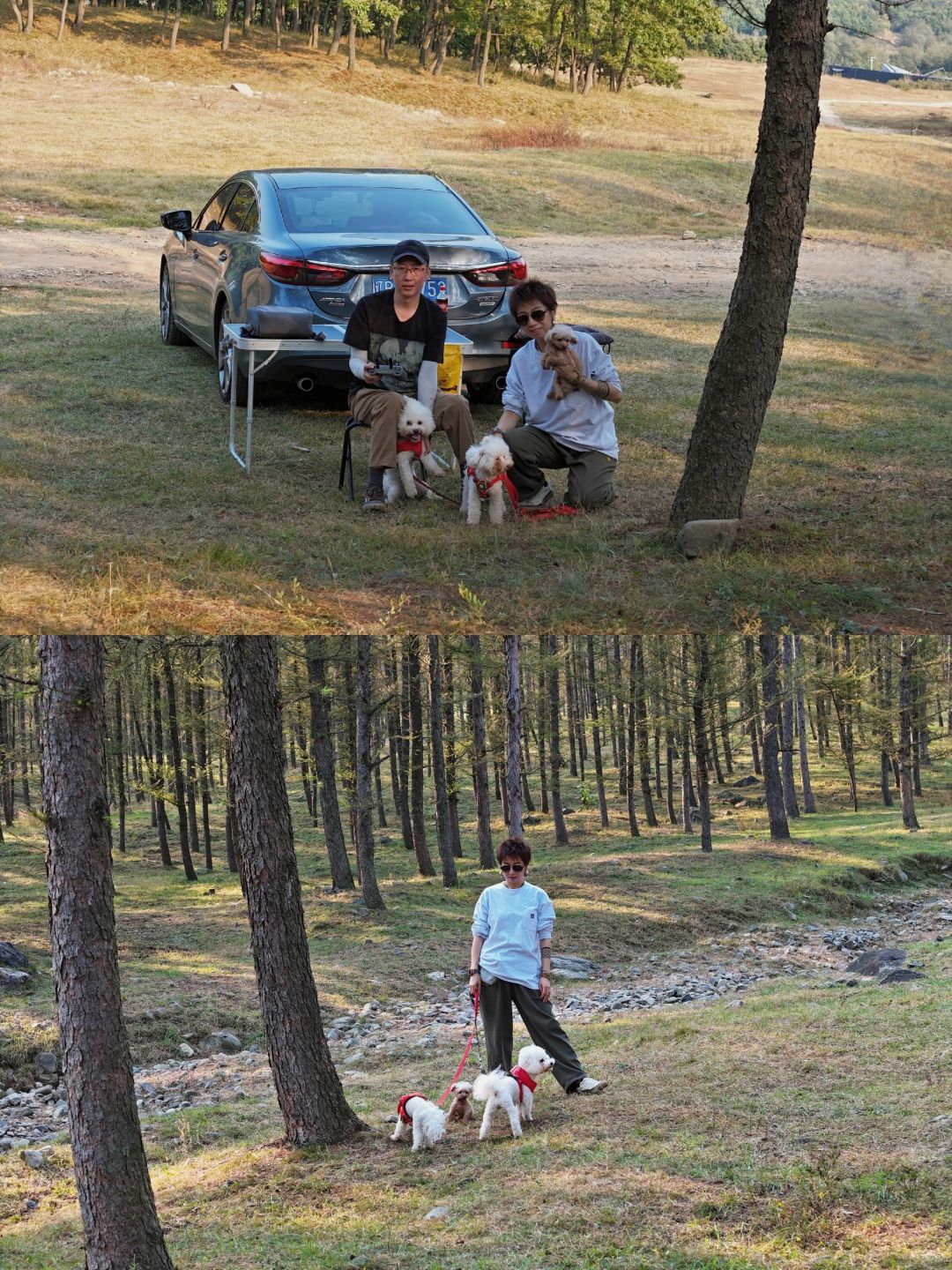 带狗自驾旅行｜教会我，不负相逢不负别离