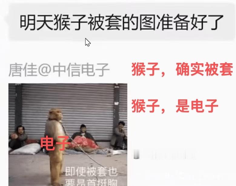 猴子，确实被套猴子，是电子 