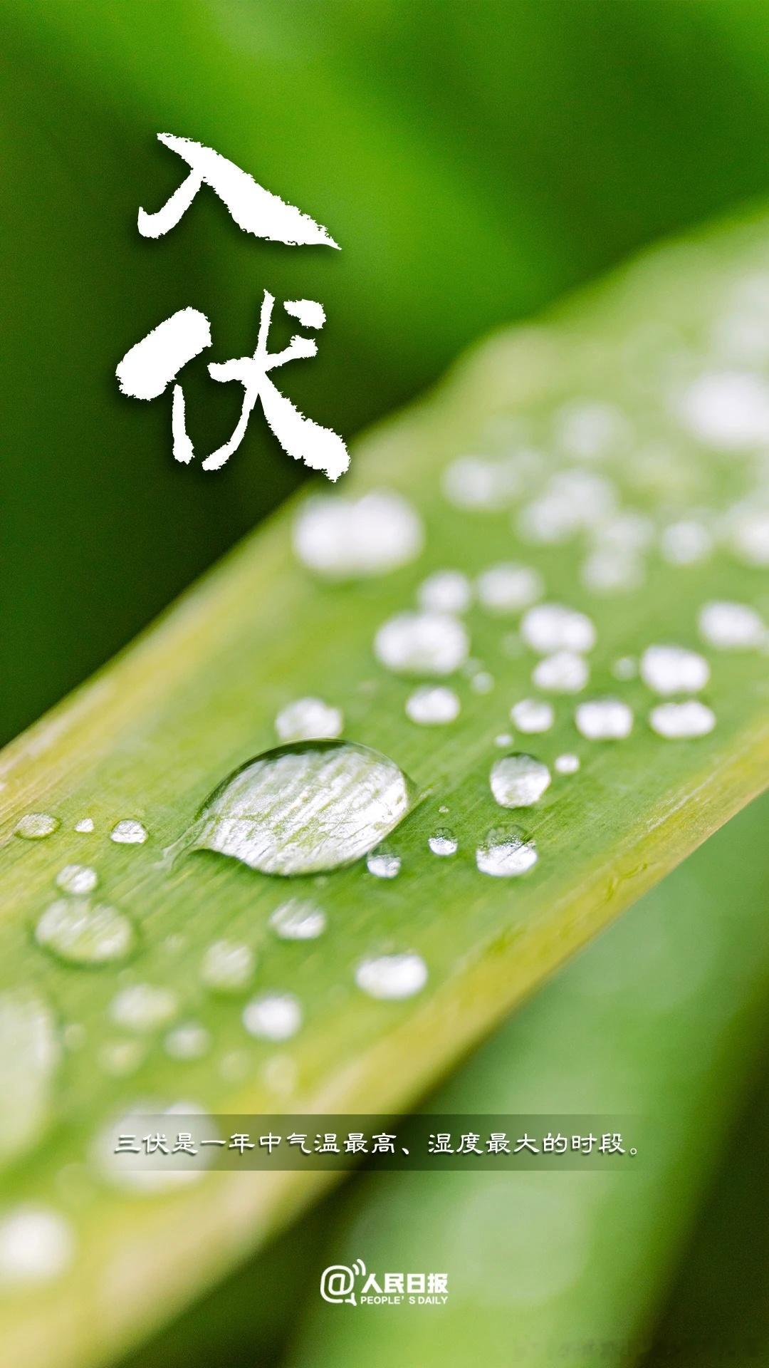 今日入伏三伏大幕正式开启三伏分为初伏、中伏和末伏是一年中气温最高、湿度最大的时段