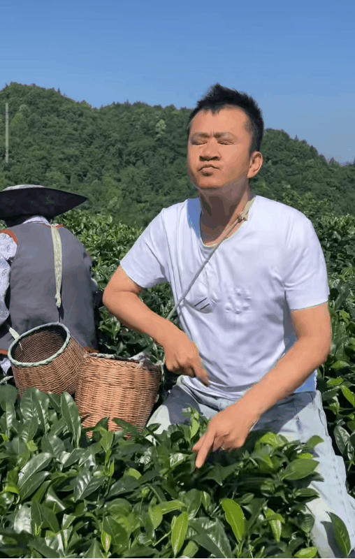 方法真的很重要！
李嘉明学习采茶，一顿操作猛如虎，怎么看都是用了全力，结果一看框