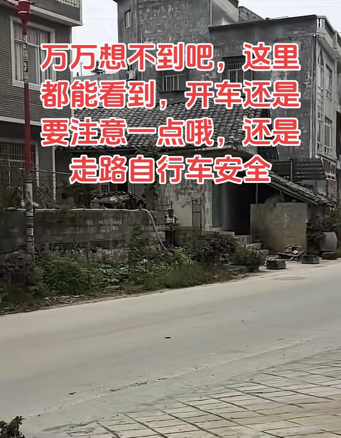 想不到吧，这里都能遇到他，以后最好踩自行车走路，腰部被抓到就不好了。农村的老房子