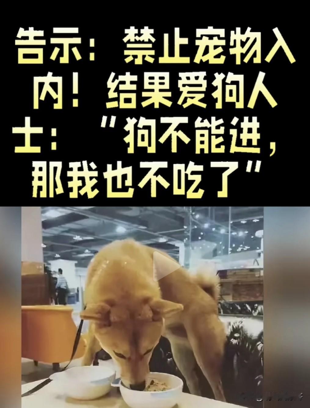 如何理解爱狗人士的那句“狗不能进，那我也不吃了”？
