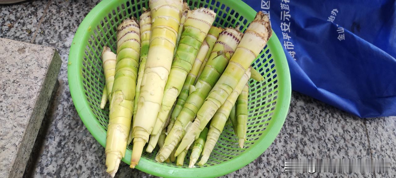 最近早笋大丰收，春笋味道顶呱呱。
笋丝肉丝、竹笋香乌笋、油焖笋、咸菜笋汤等等，都