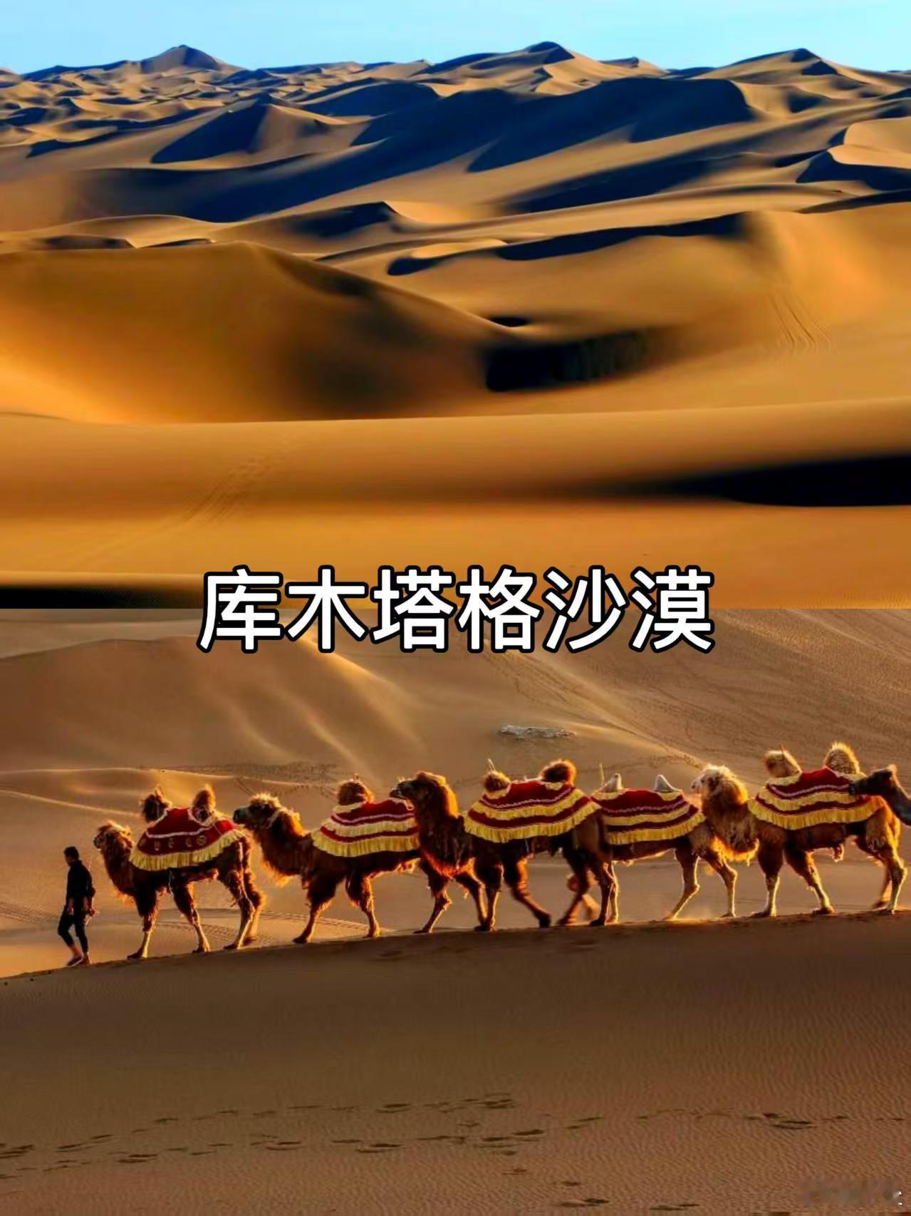 这里是新疆每一帧都惊艳 苍茫雪原邂逅璀璨星河，画面直接封神！洁白雪面倒映漫天星光