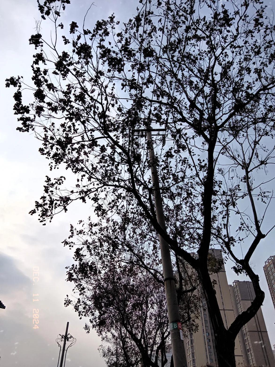 在这个冬日里，虽然天气有些阴沉，但人们的心情却可以像抖音平台一样，充满色彩和活力