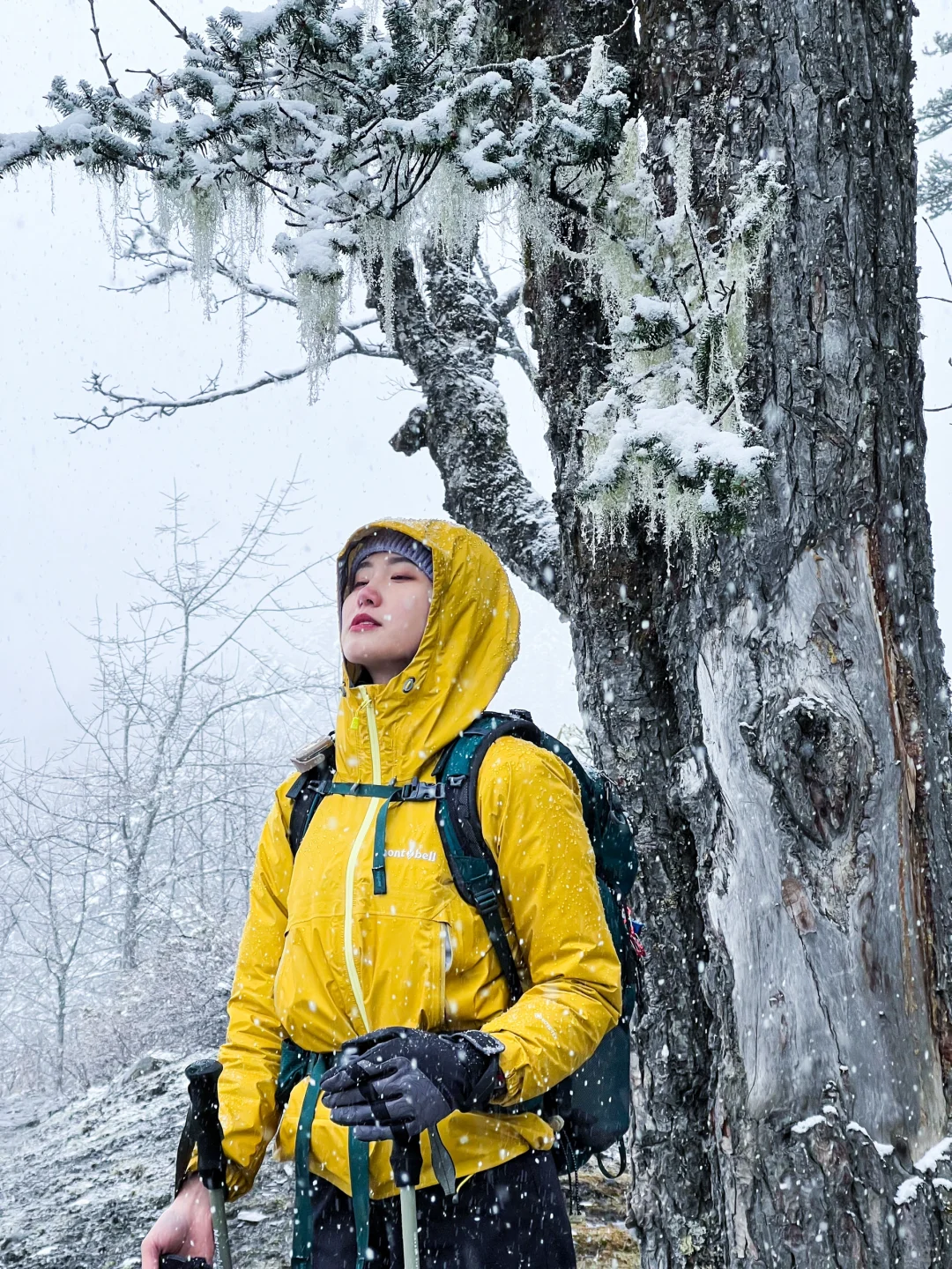 为了那一眼冰川，我翻山越岭🏔