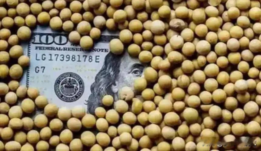 巴西这下真急了！中国转向美国，签下1200万吨大豆订单，美国豆农喜出望外。

但