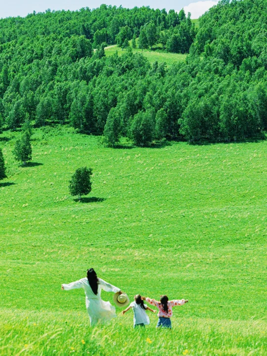 这个暑假总要带娃去一次呼伦贝尔吧，附攻略~