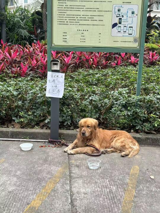 广州怎么有人这么缺德！这是人能干出来的事？
