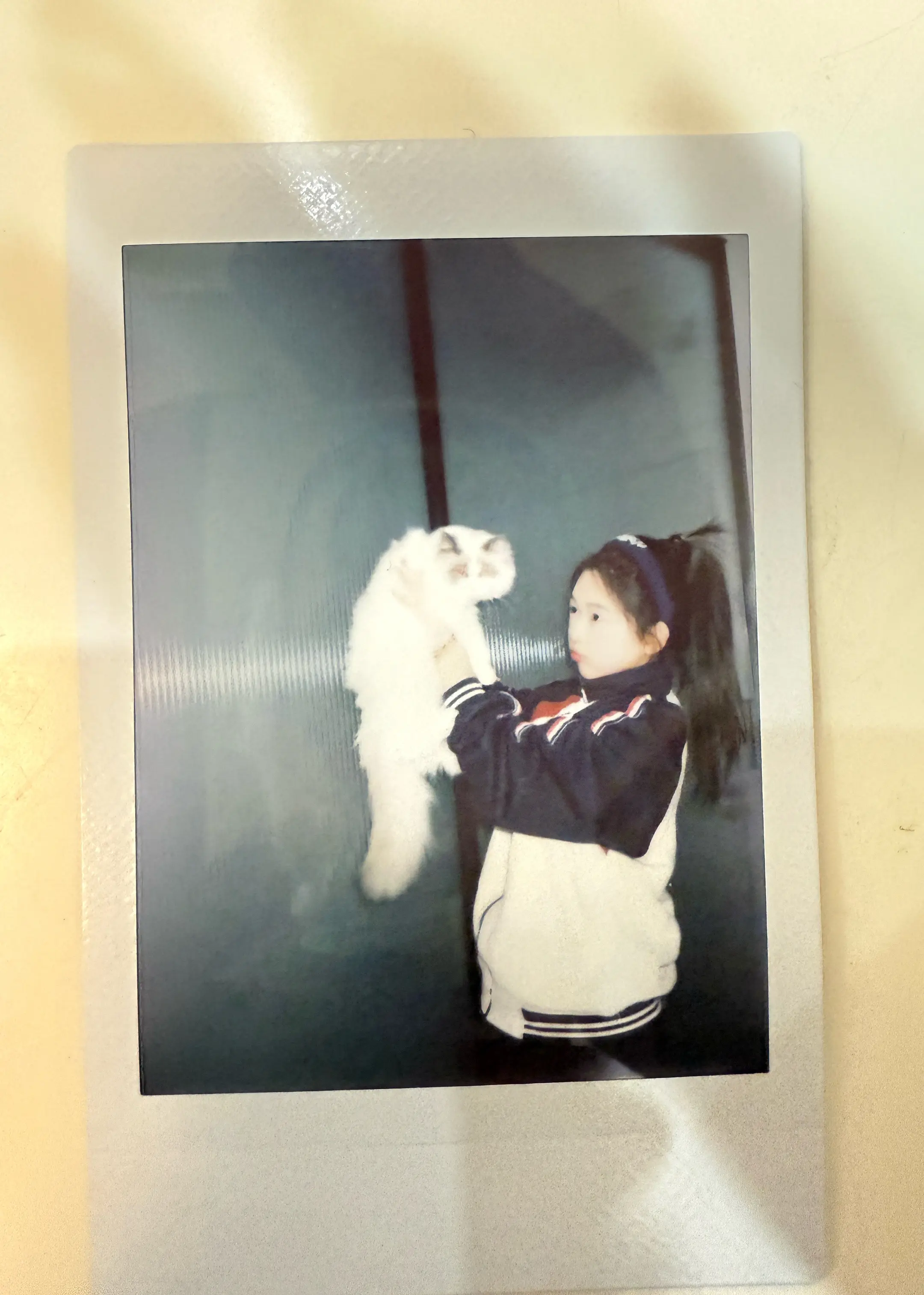 怀恋上学的日子