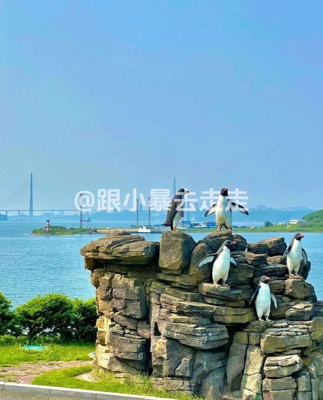 九月中旬的海参崴美爆了💥