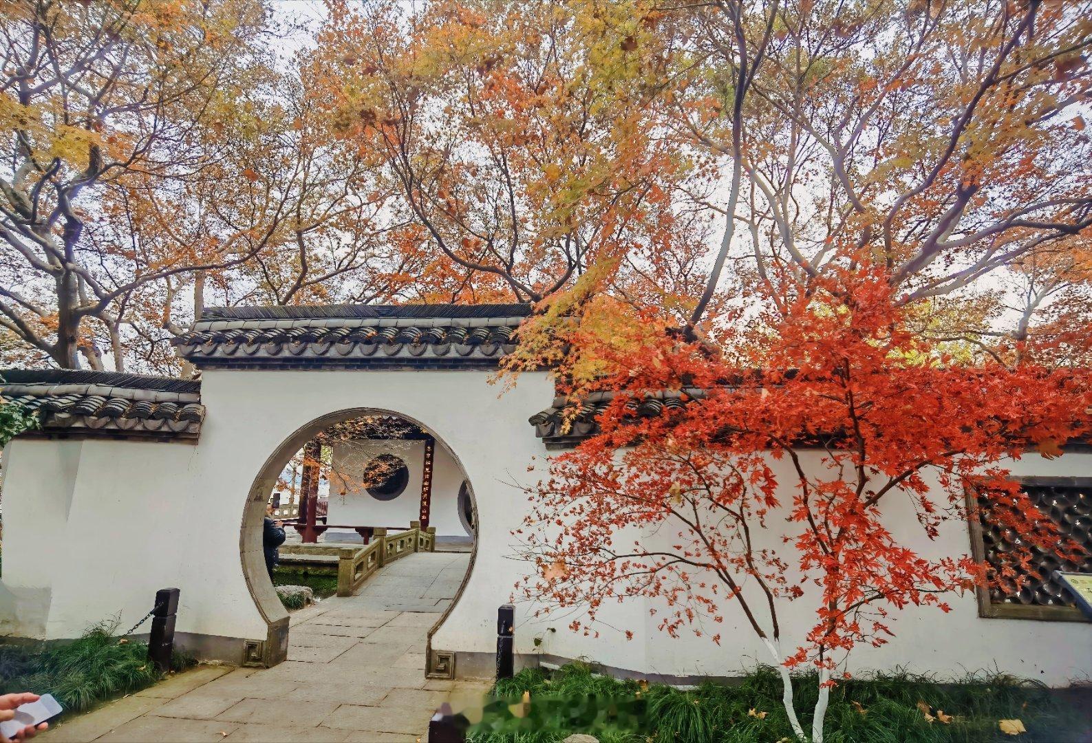 平湖秋月绝对是一步一景[good][666] 