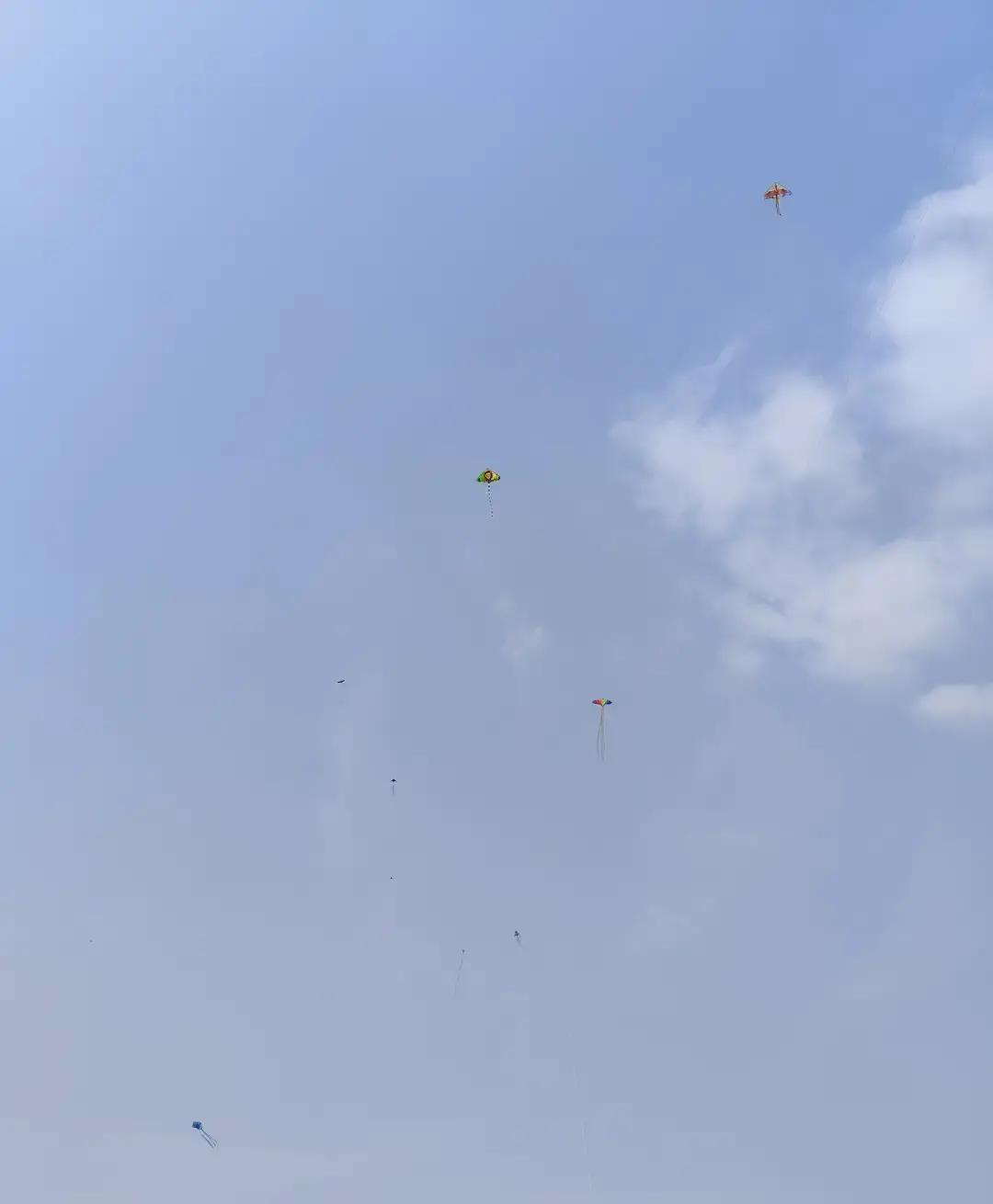 以前听风的蚕那节目，那是真追着看，最近点进去一听，好家伙，风格全变了。
这位曾经