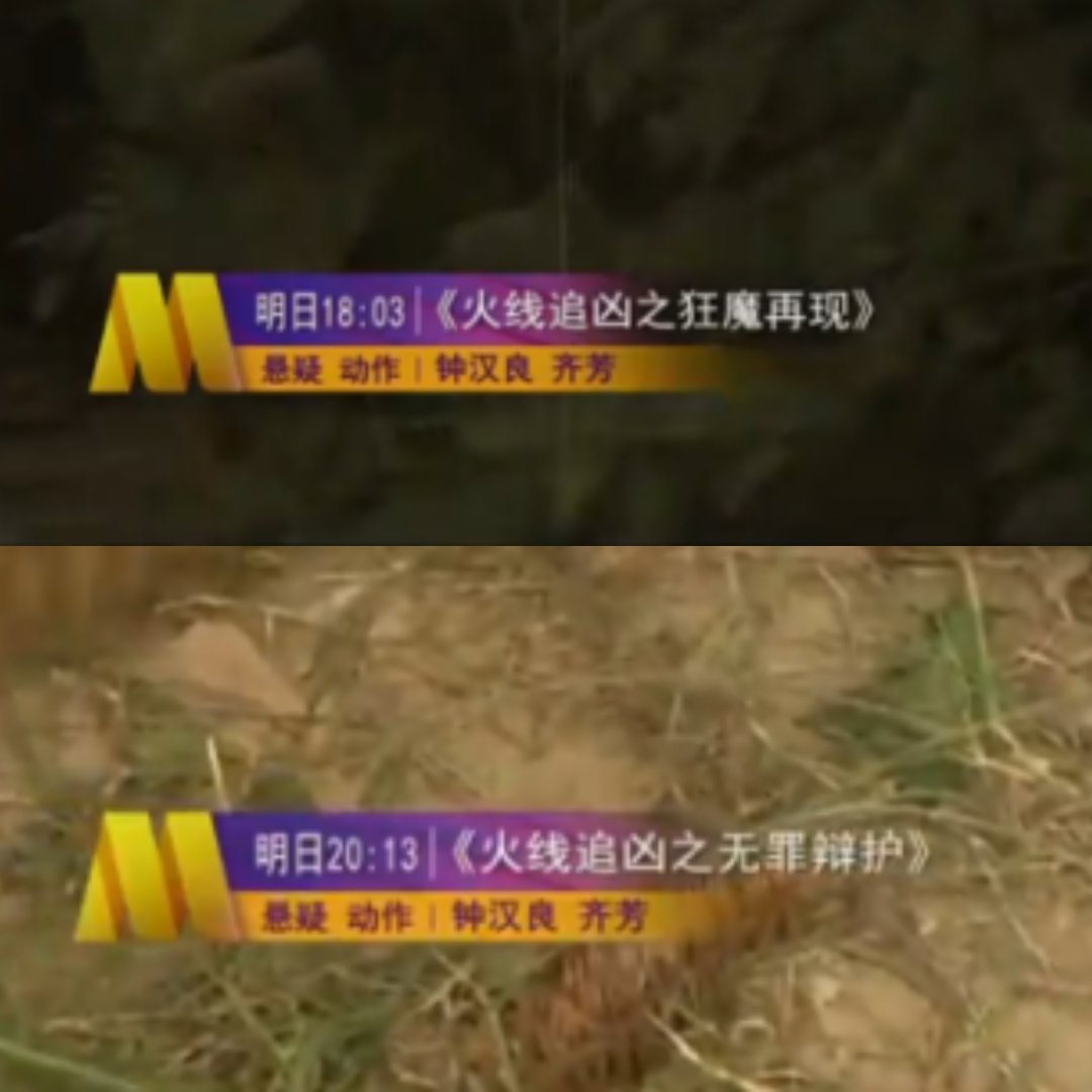 火线追凶，明天继续钟汉良