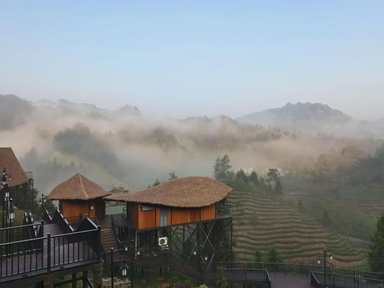 乡村振兴，绿色发展 茶乡 谁不爱这满屏诗画之地