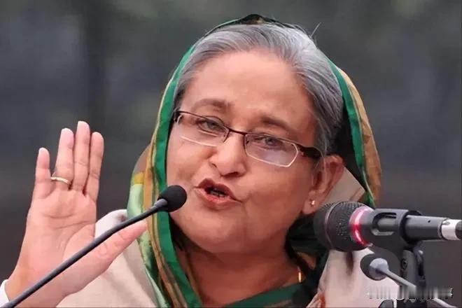 哈西娜最新表态！
来自新德里（11）日消息，孟加拉国前总理哈西娜在当天发表讲话说
