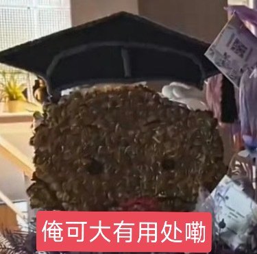 俺觉得曲祺的肤色很适合在黑暗中陪白杨在小区挖坑埋胶囊💊马嘉祺白杨