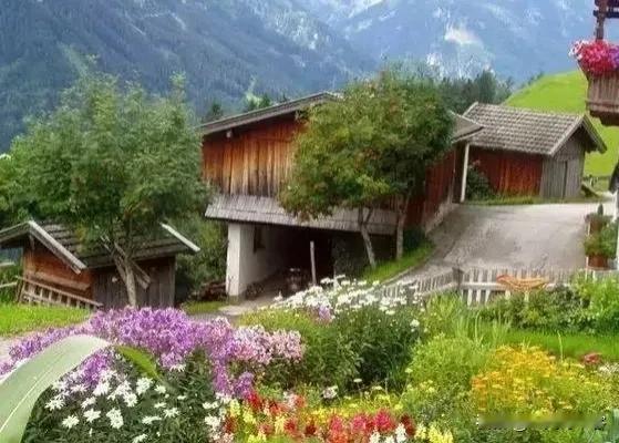 #凡间诗话# 五律|偏居
老至东郊外，开荒二亩田。
偏居风水净，现采果疏鲜。
梦