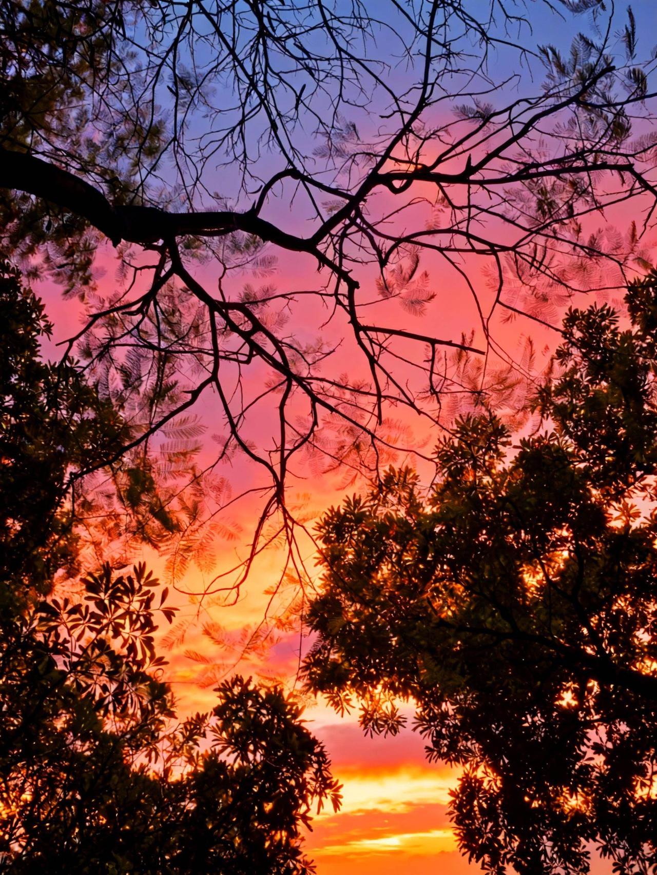 我的图片 随变ai随便玩