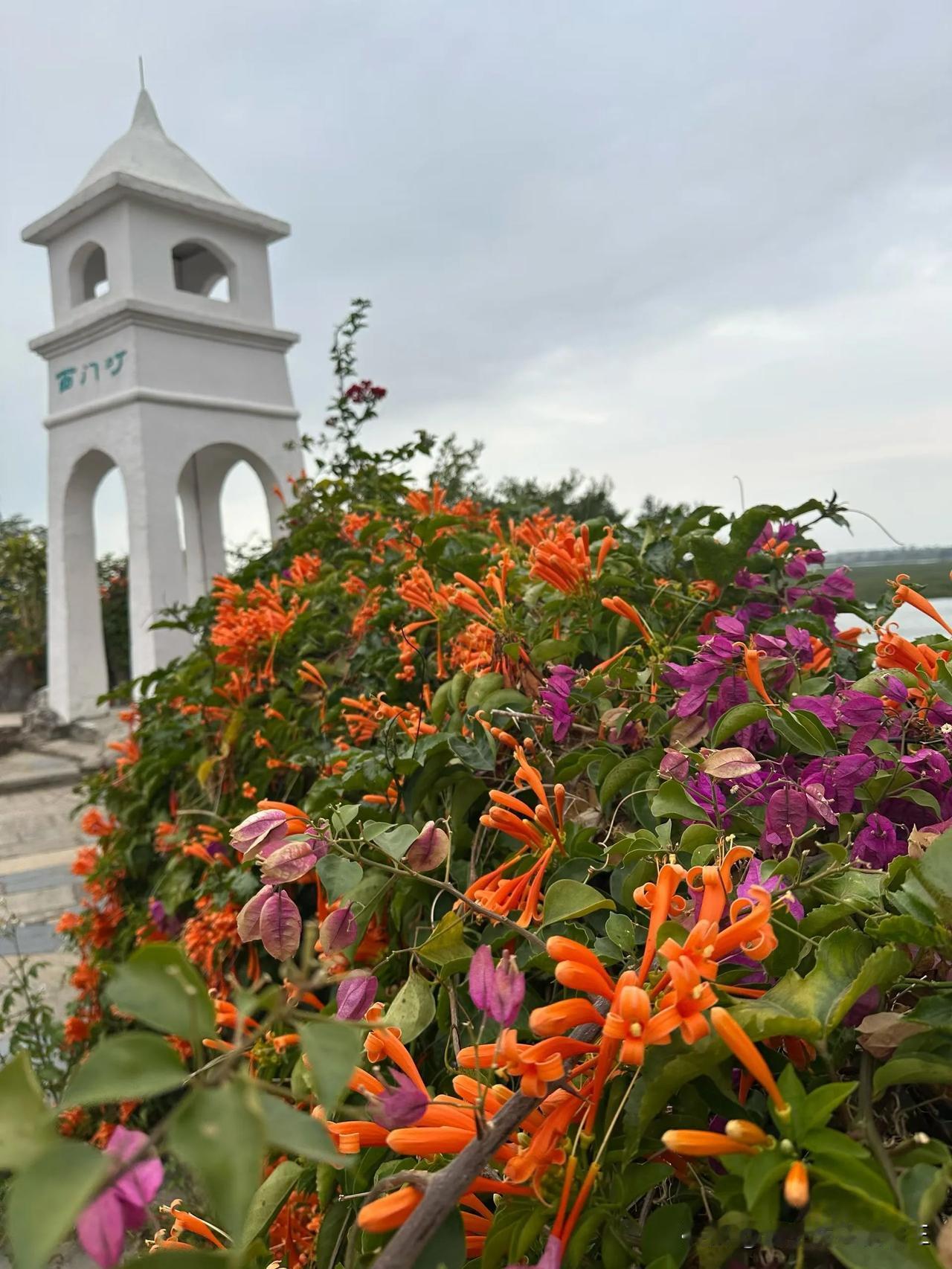 什么才是最好的旅行？
不是去多远的地方
也不是住最贵的酒店
更不是打卡了多少网红