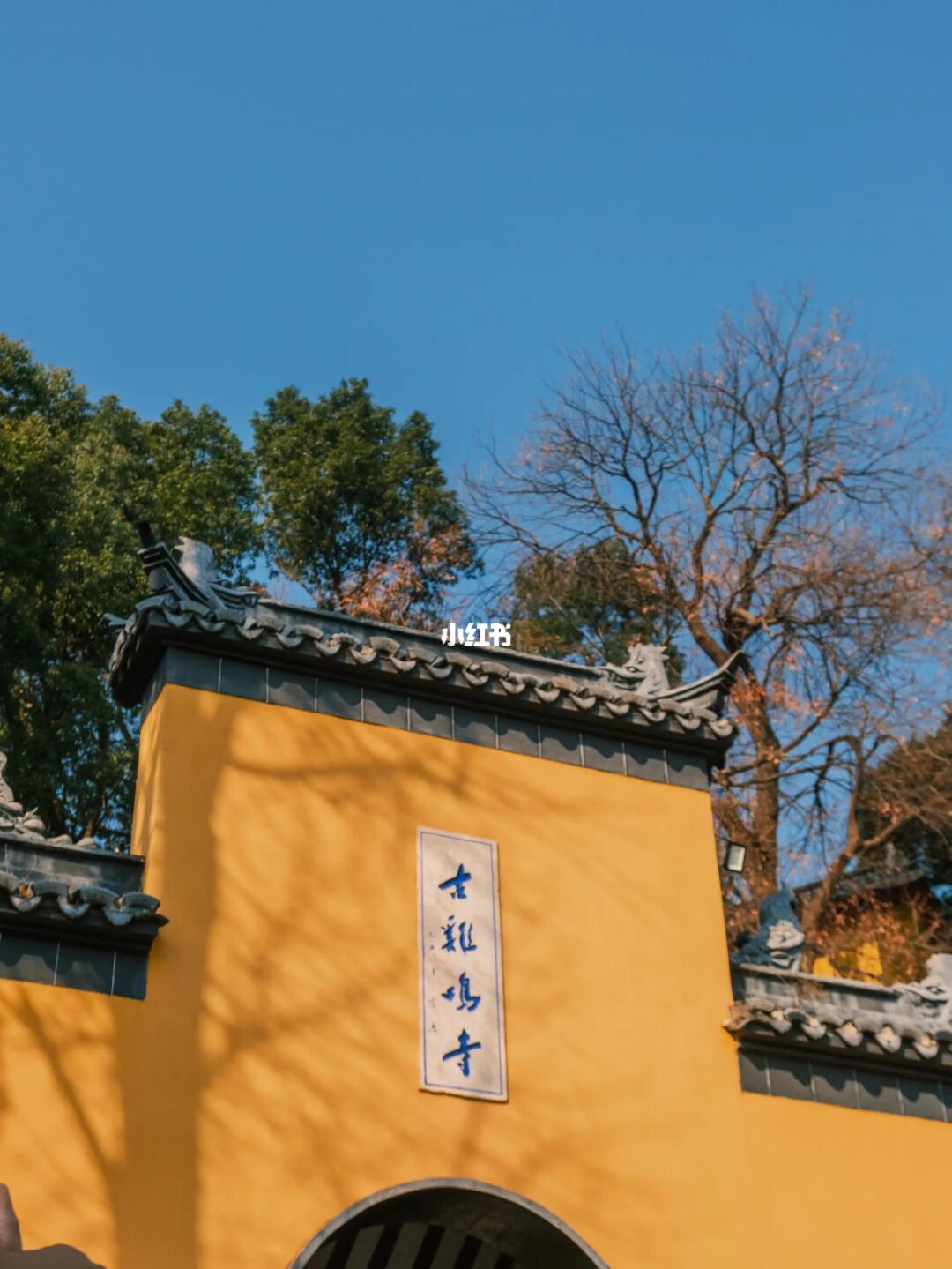 南京鸡鸣寺来了无数次❗️❗️所愿皆所得