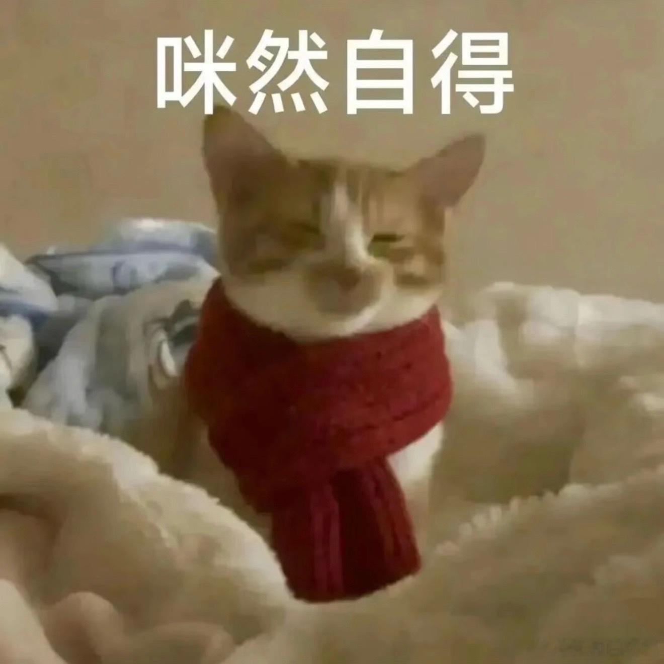 早晨定了七点半的车来酒店门口接六点出头妈妈就叫我，告诉我已经七点了，吓得我一下坐