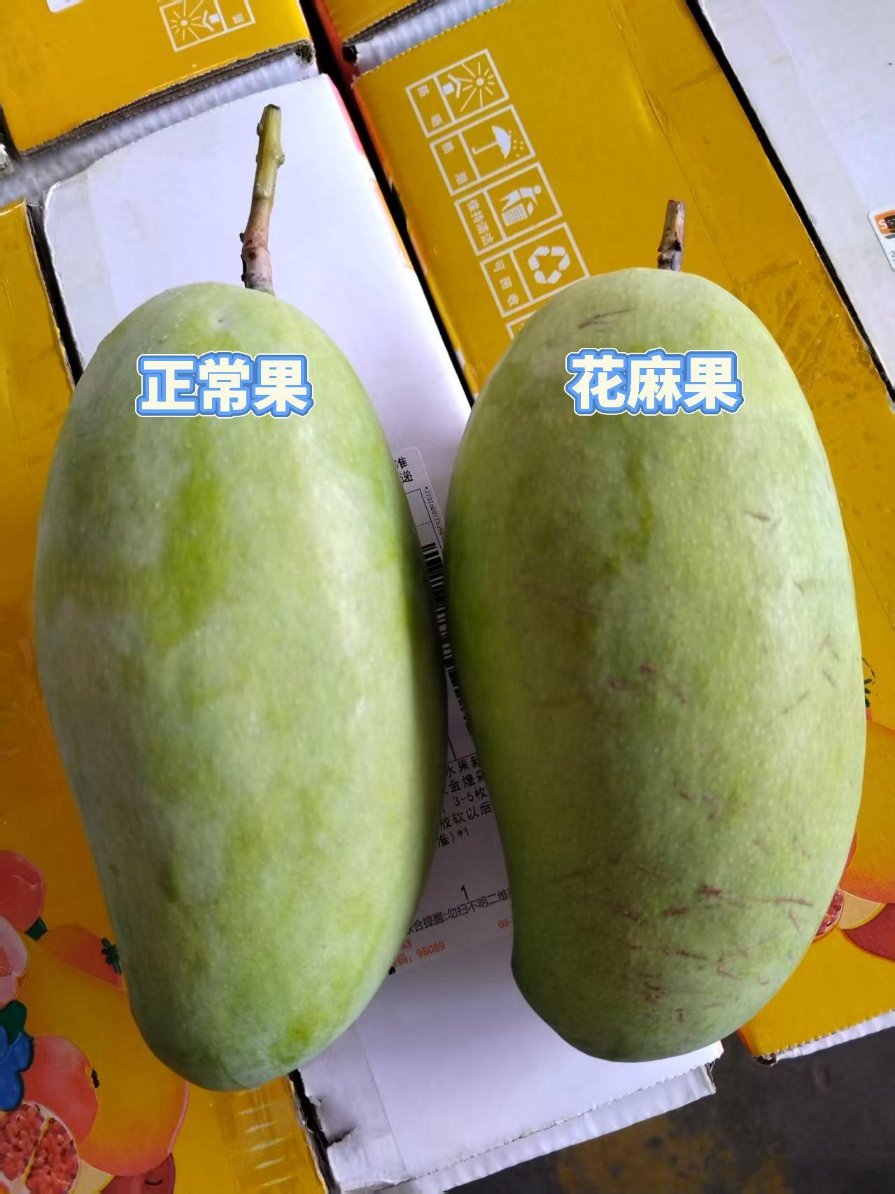 这个芒果好吃。这是正经的攀枝花金煌芒，果香浓、果肉厚、果核超薄，非常甜。今年攀枝