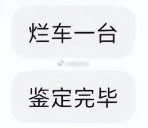 自主品牌和自主品牌互相掐~~~奔驰和宝马不互相骂，丰田本田日产不互相骂，标致雪铁