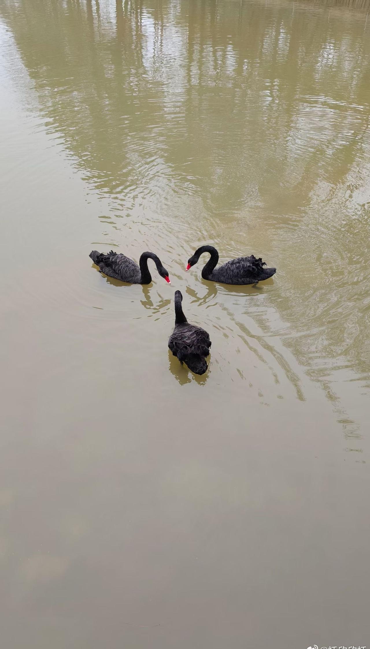 法律专家强调，父母不得以物质供给替代情感陪伴，若监护缺位致未成年人生存困难，需承