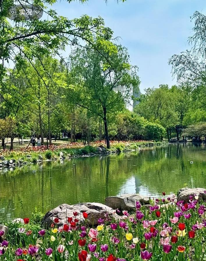 累了,不想动的时候应该做些什么?累了就彻底歇着，啥也别想、啥也别干，怎么舒服怎么