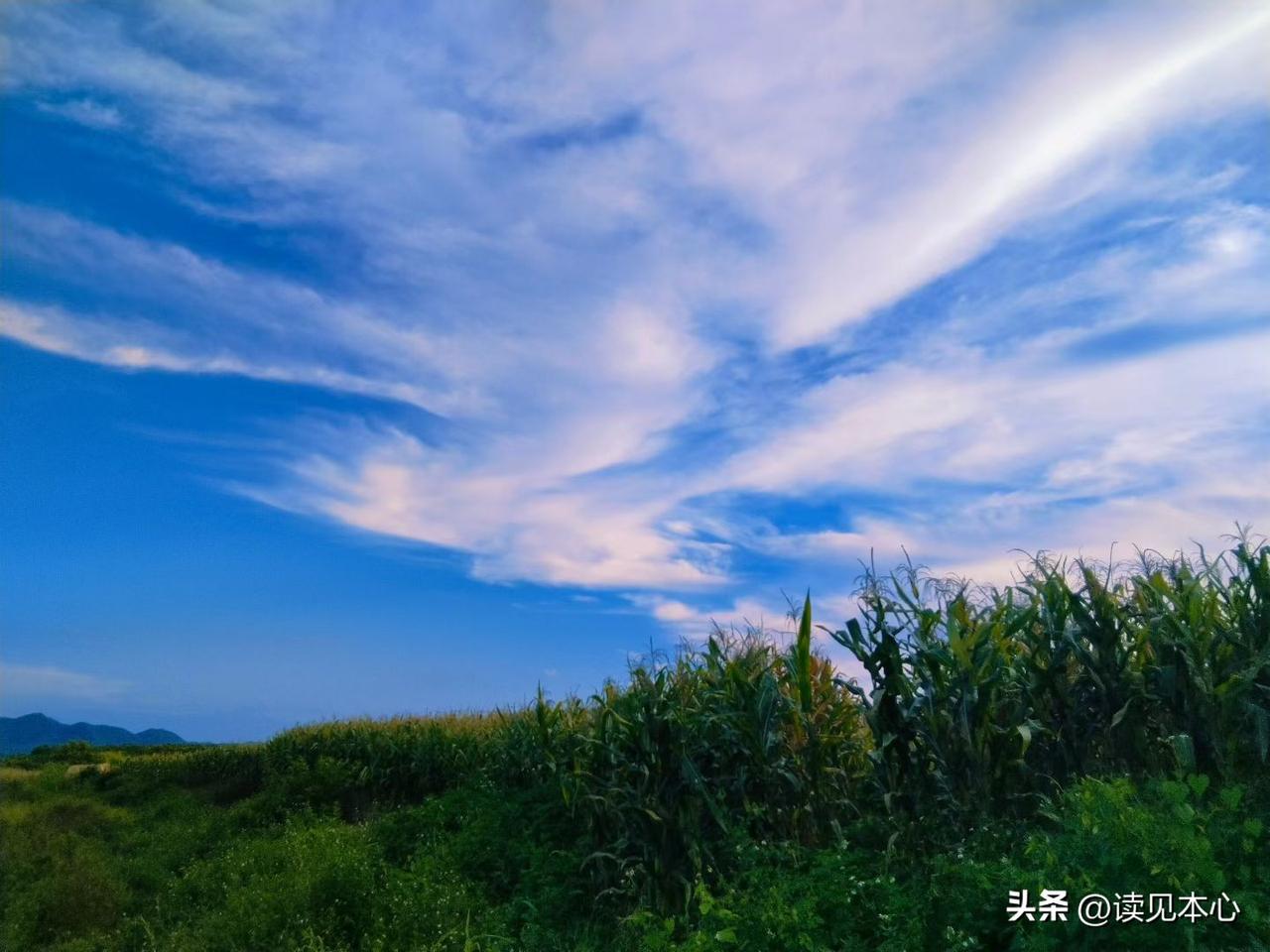 永远别在微信上说这些事，保护好自己
俗话说：“隔墙有耳。”
但在微信时代，隔的不