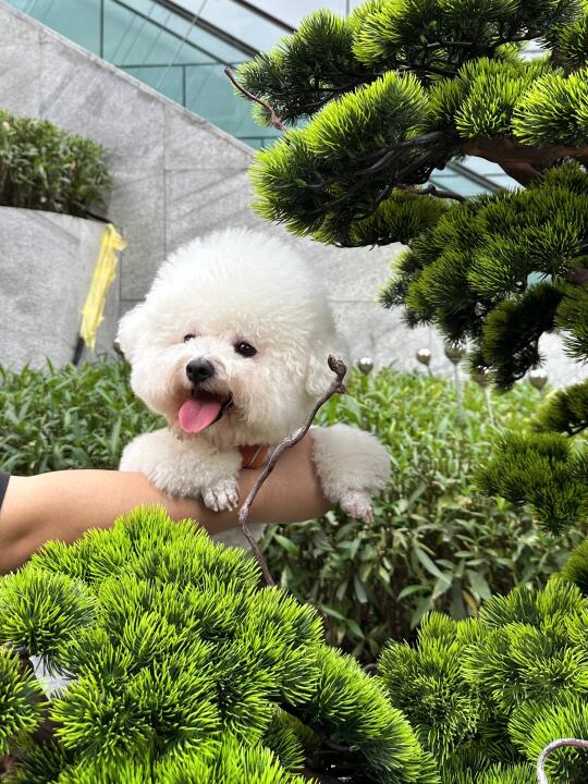 万象城每次的主题都很好拍诶