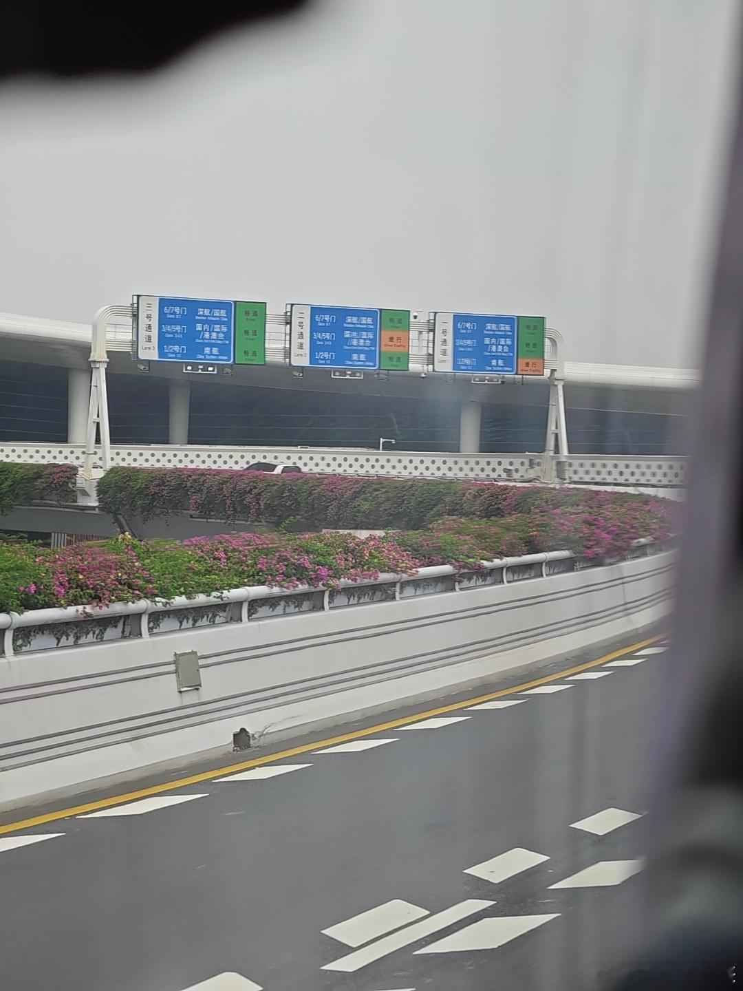 回家，回家，回家，外面的世界太乱了，出来一圈，感觉都比我牛逼[污][污][污] 